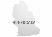 Anunțuri din Hunedoara